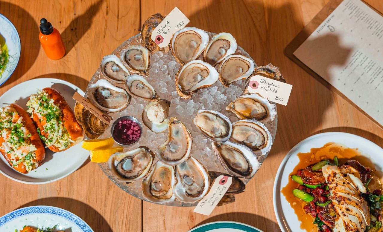 Sort-of Secret: Island Oysters, a sweet little seafood bar in Bloordale (Toronto Life)